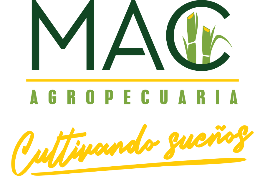 Proyecto nuevo (2)
